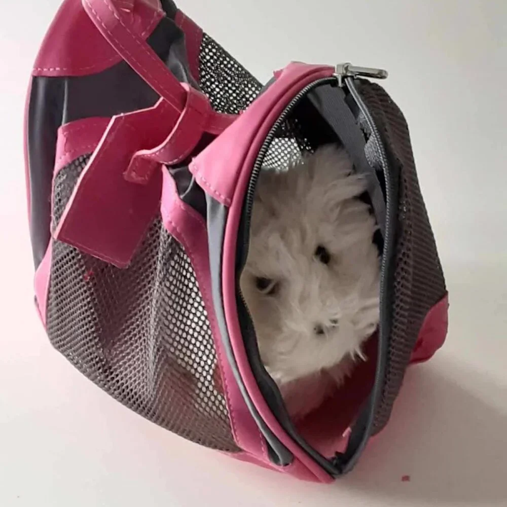 American Girl Coconut Dog Carry Case and Accessories + Bonus Book